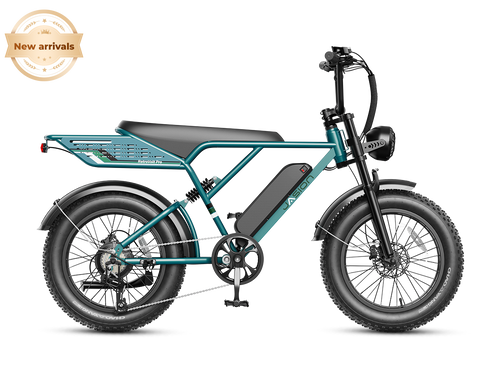 JasionBike RetroVolt Pro electric bike side profile
