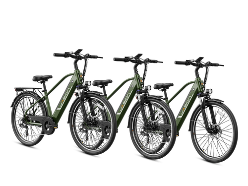 EB5 Roamer Clearance (All New Bike)