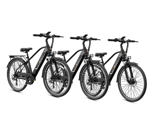 EB5 Roamer Clearance (All New Bike)