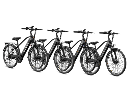 EB5 Roamer Clearance (All New Bike)