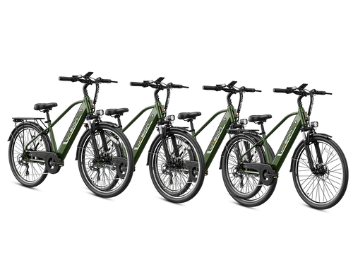 EB5 Roamer Clearance (All New Bike)