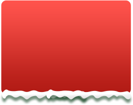 christmas-discount-back