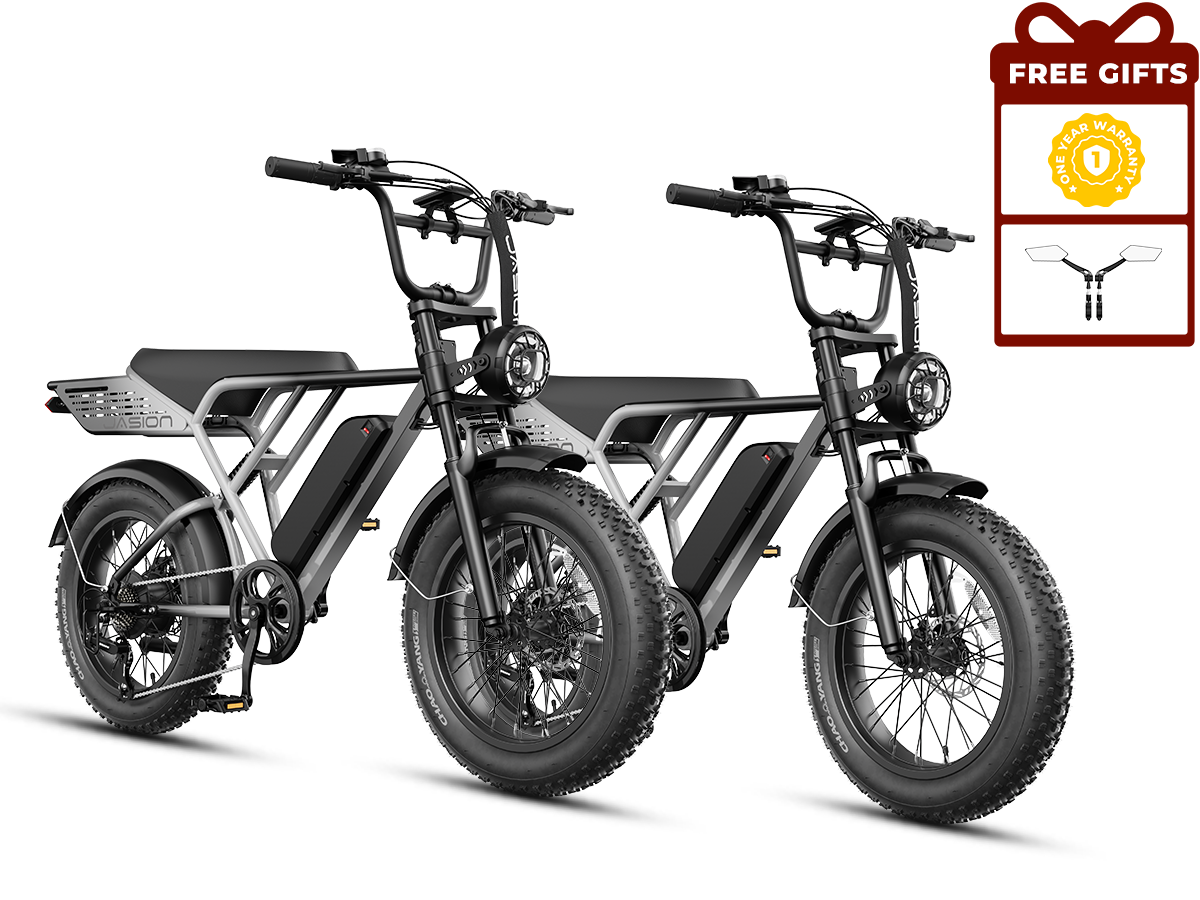 JasionBike RetroVolt Pro retro fat tire electric bike combo – dual Shadow Steel