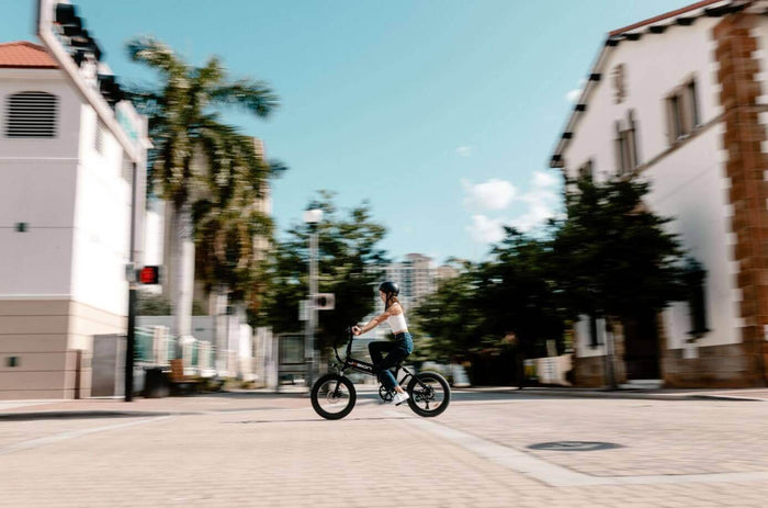 Family electric biking cover image