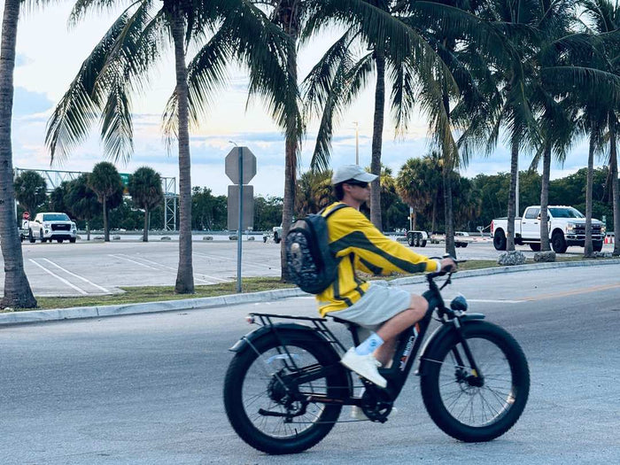 Jasion Thunder Pro Ebike Features blog cover