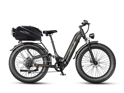 #color_Stealth Black