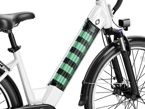 EB5 Roamer Battery Pack