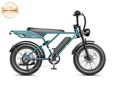 JasionBike RetroVolt Pro electric bike side profile