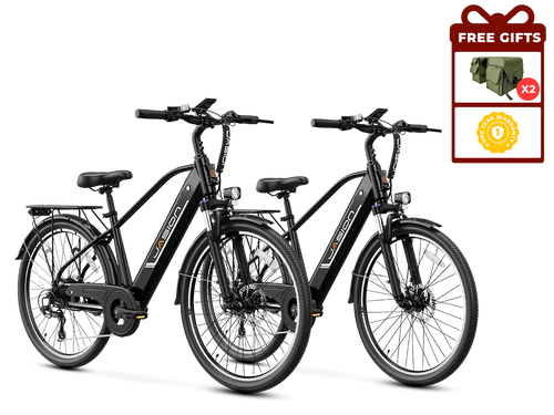 EB5 Roamer*2-Clearance