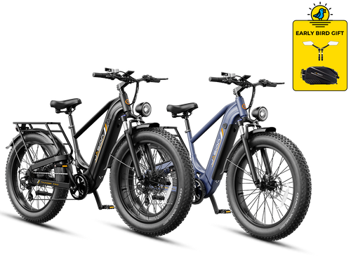 Thunder Pro electric bike pair in Stealth Black and Arctic Blue