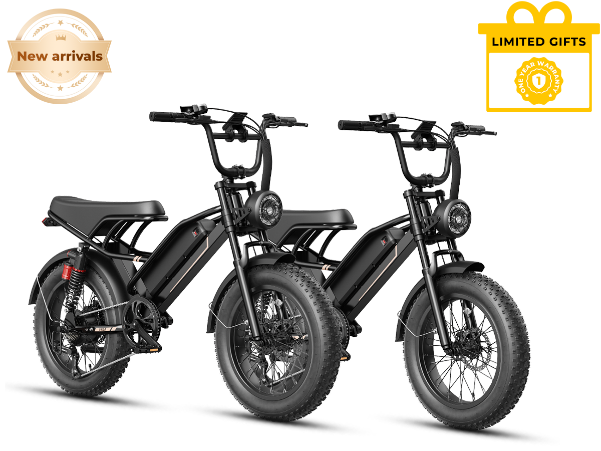 Jasion Ebike Combo Sale YR20*2