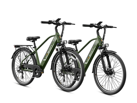 EB5 Roamer Clearance (All New Bike)