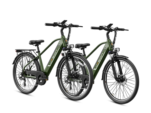 EB5 Roamer Clearance (All New Bike)