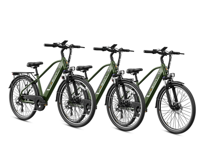 EB5 Roamer Clearance (All New Bike)