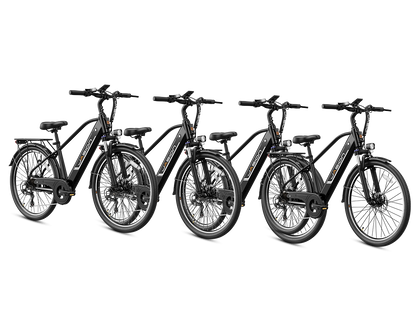 EB5 Roamer Clearance (All New Bike)