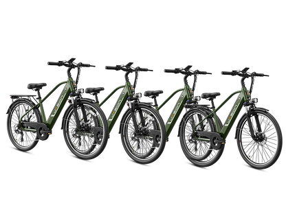 EB5 Roamer Clearance (All New Bike)