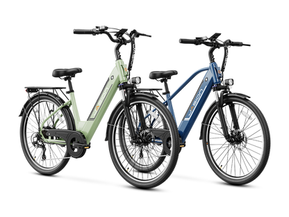 #EB5 Roamer_Blue+Pale Green