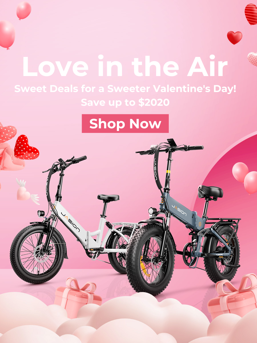 Love le velo 2025 2020