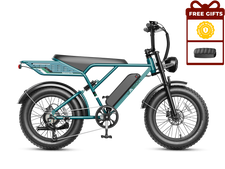 RetroVolt Pro Ebike